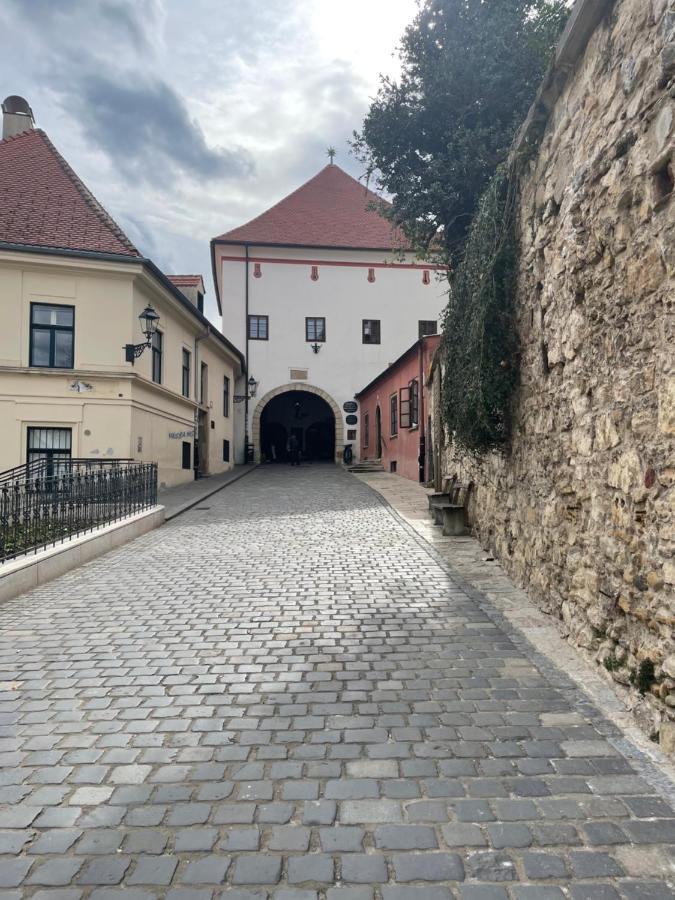 Grich Witch Apartment Zagreb Ngoại thất bức ảnh